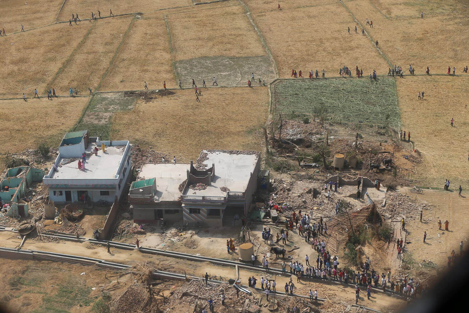 Life in the time of tornadoes