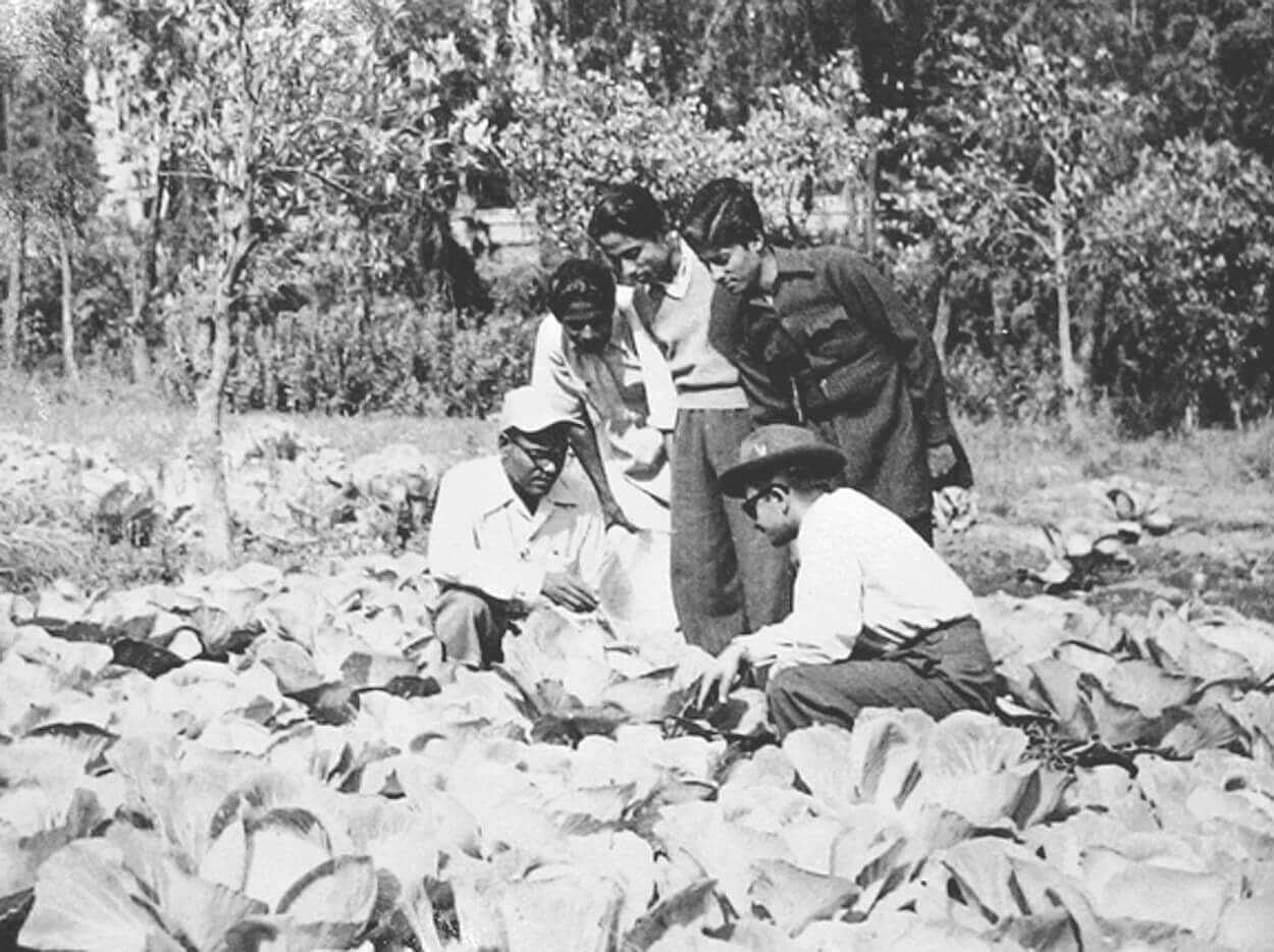 African Americans in Cold War Nepal