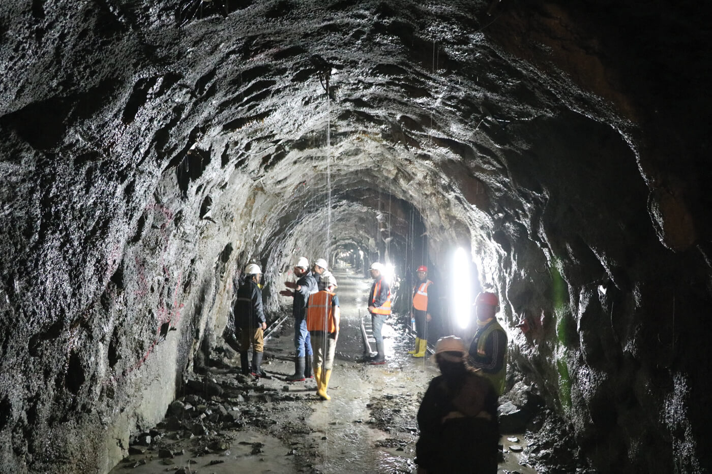 Finding the nexus between water, food and energy