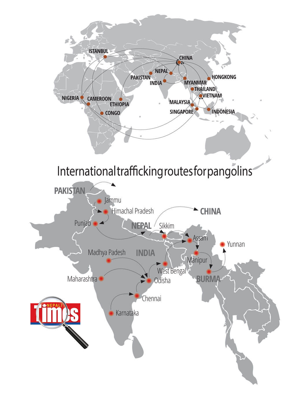 Better Nepal-China connectivity helps wildlife smugglers