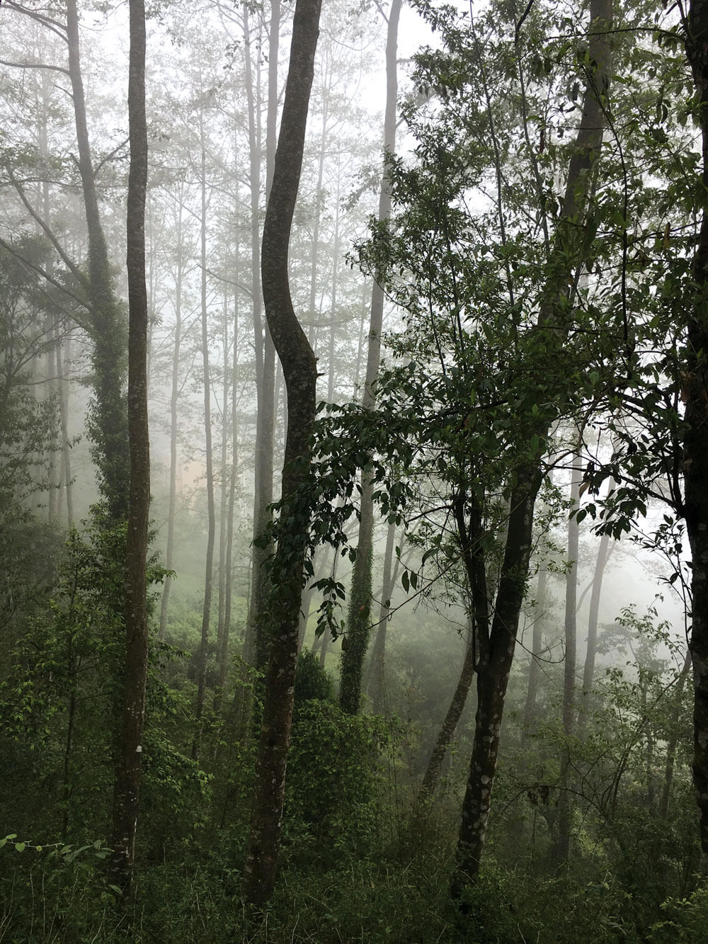 MUSTN’T BLAME EVERYTHING ON CLIMATE CHANGE