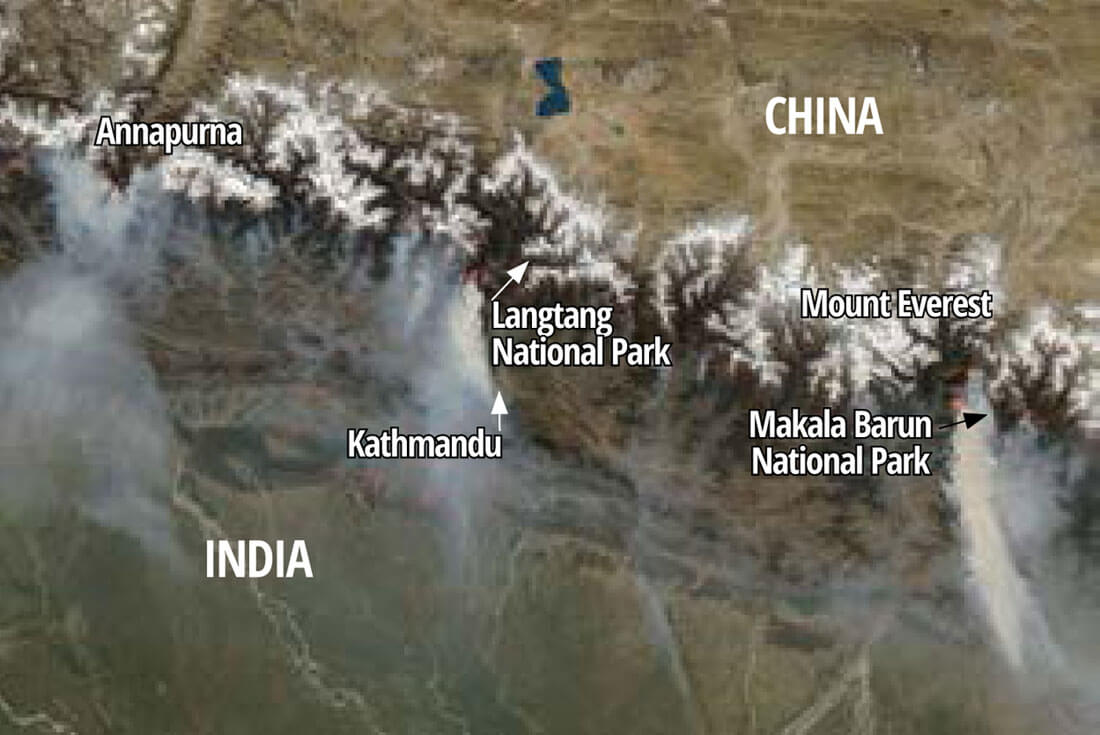 It's a jungle out there in Nepal and the Amazon