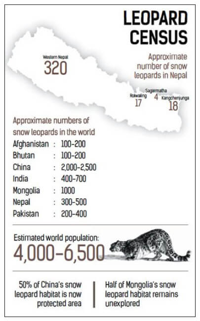 Satellite tracking snow leopards in Nepal to study climate impact