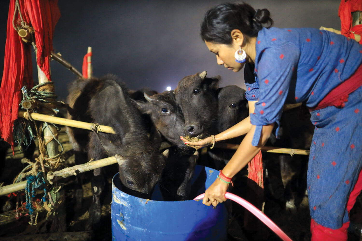 Cruelty and compassion