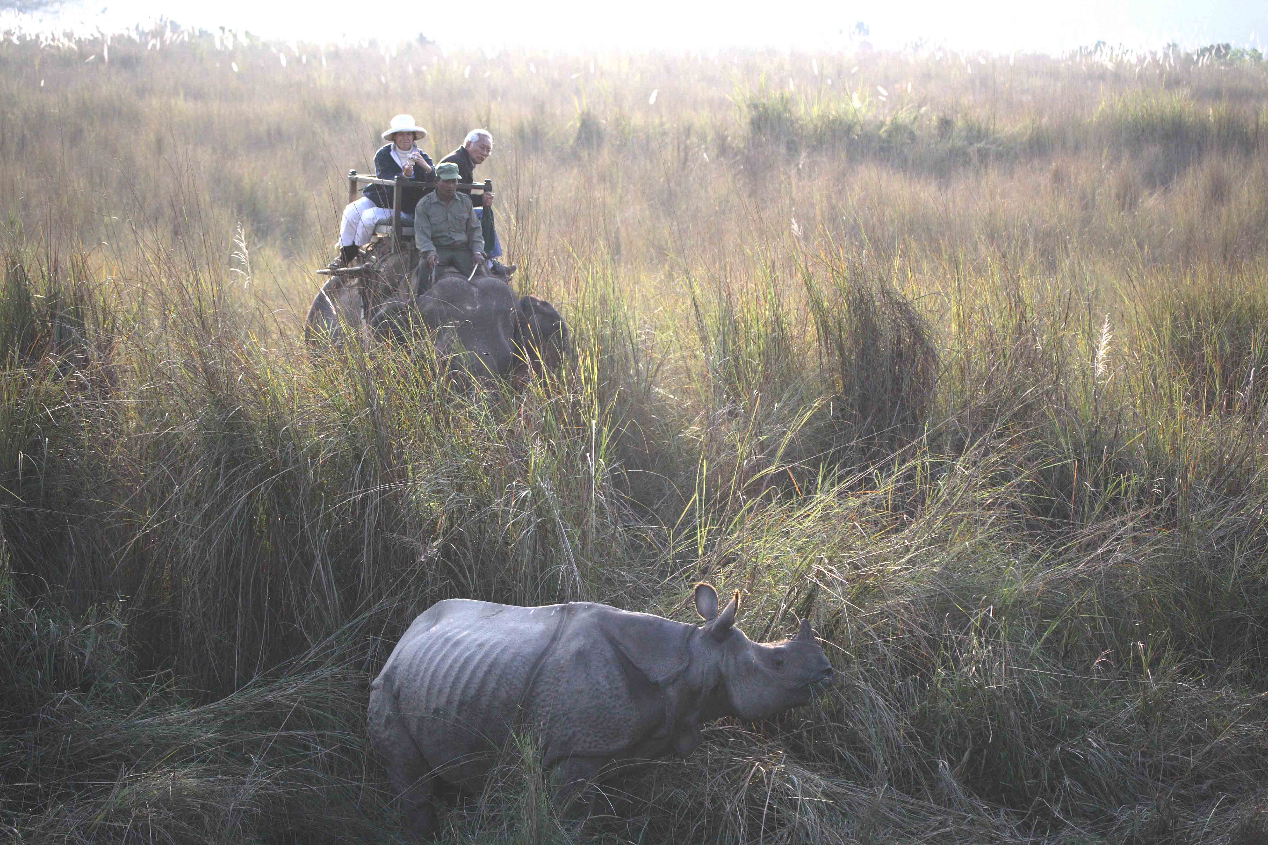 Ghosts of Christmas past