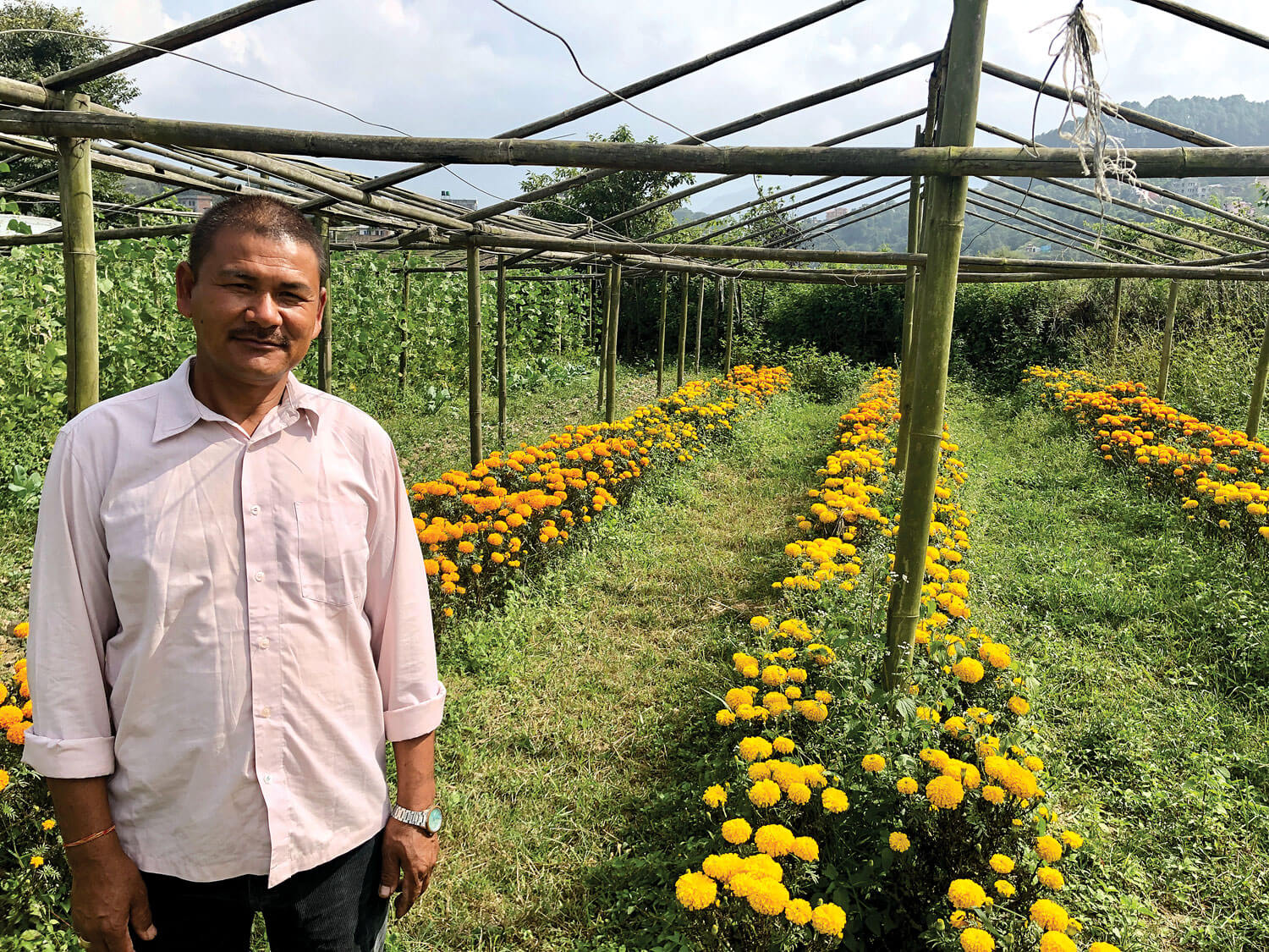 Migrant worker finds farming in Nepal more rewarding