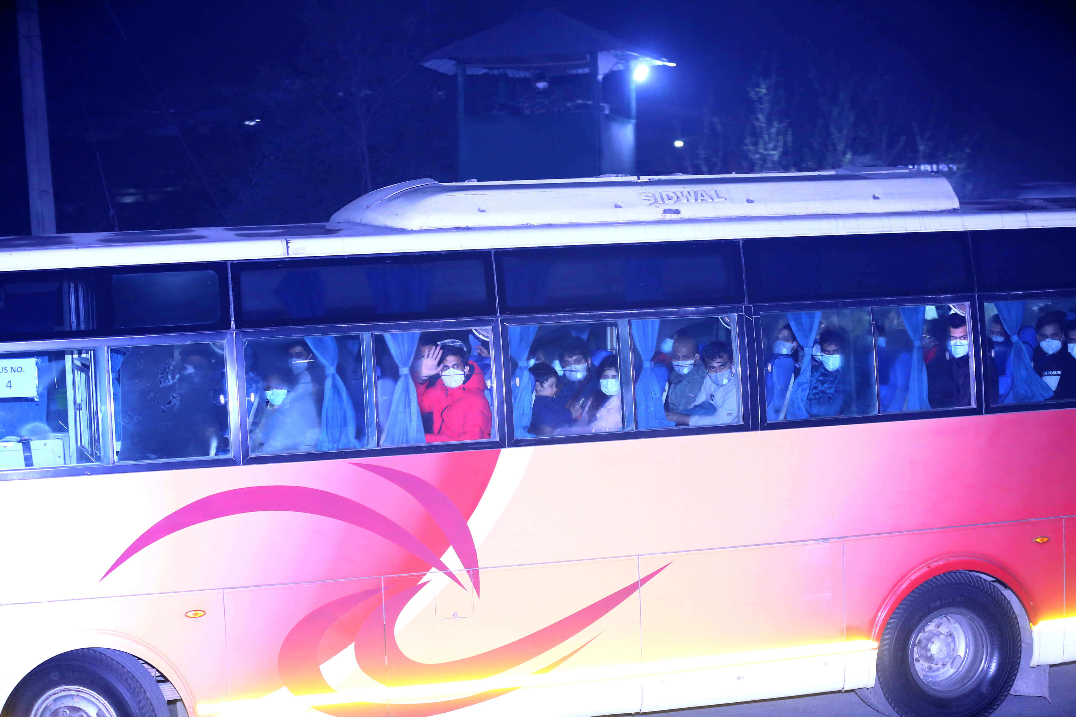 When panic goes viral