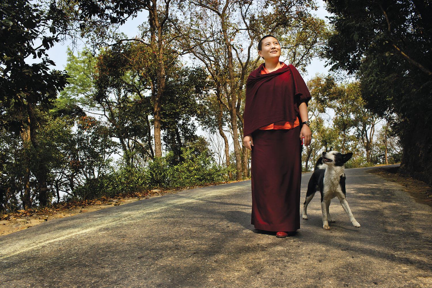 Coming Soon: Ani Choying, the movie