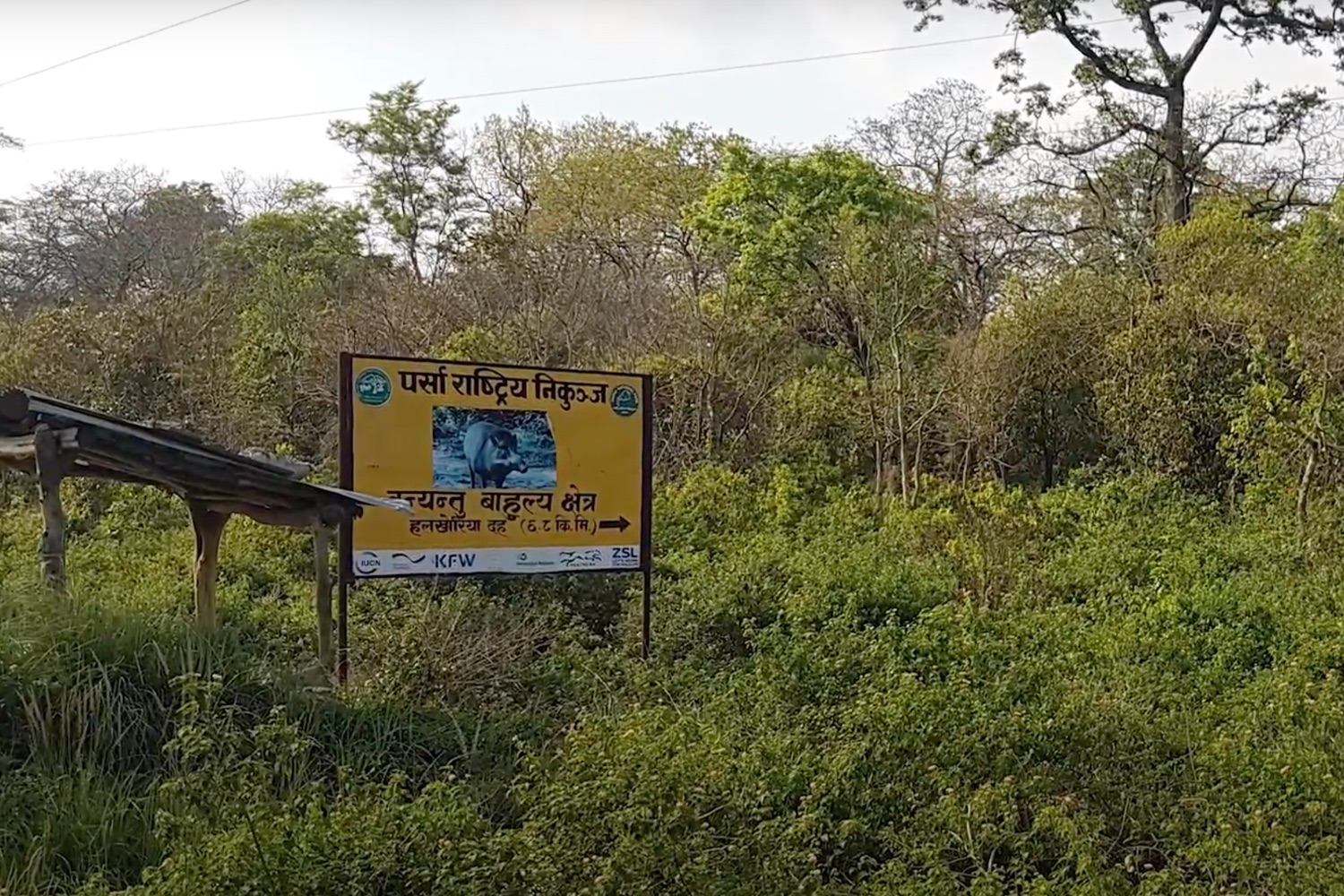 Importance of ecosystems for people and the planet