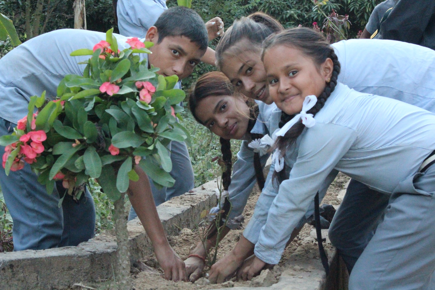 How to encourage a child’s biophilia