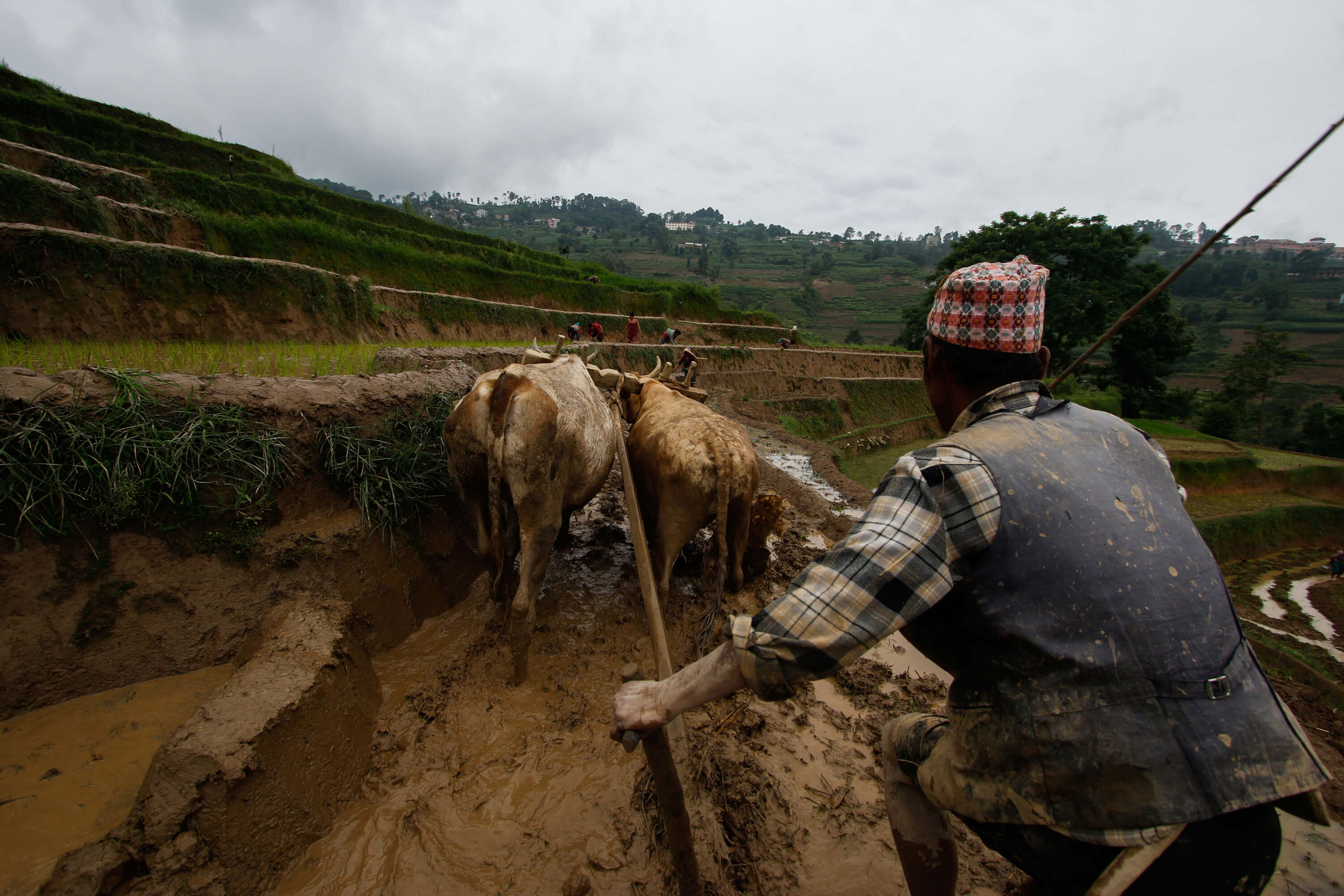 Returnees need help to get back to farming
