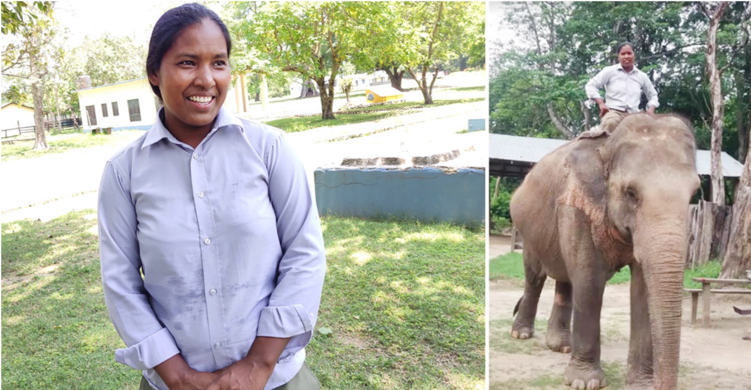 Don’t follow my footsteps, says female mahout