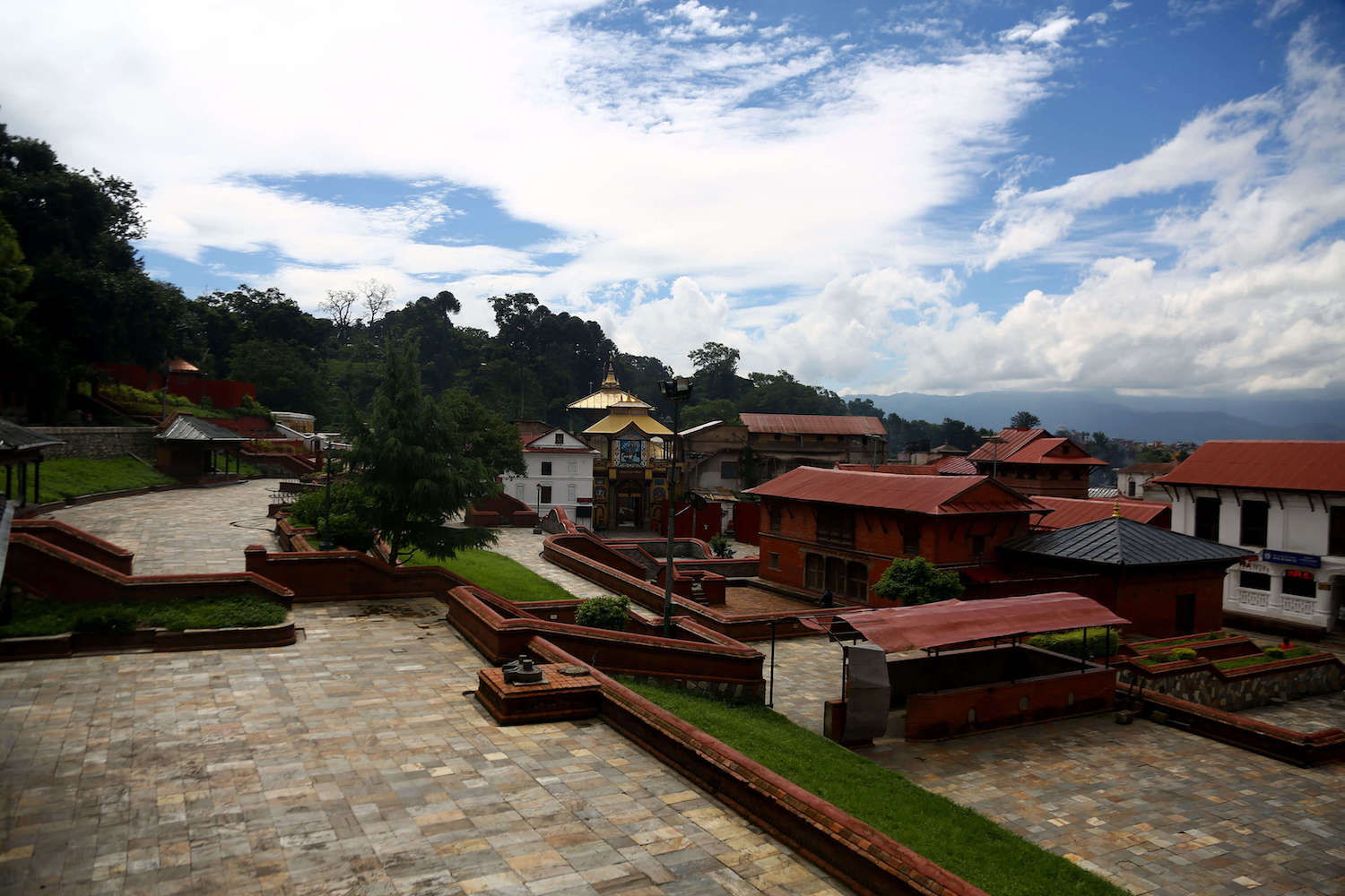 Pandemic brings new Tij tune