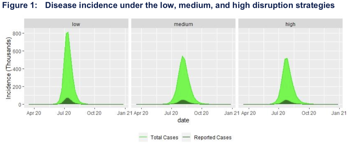 Nepal experts reject Covid-19 model