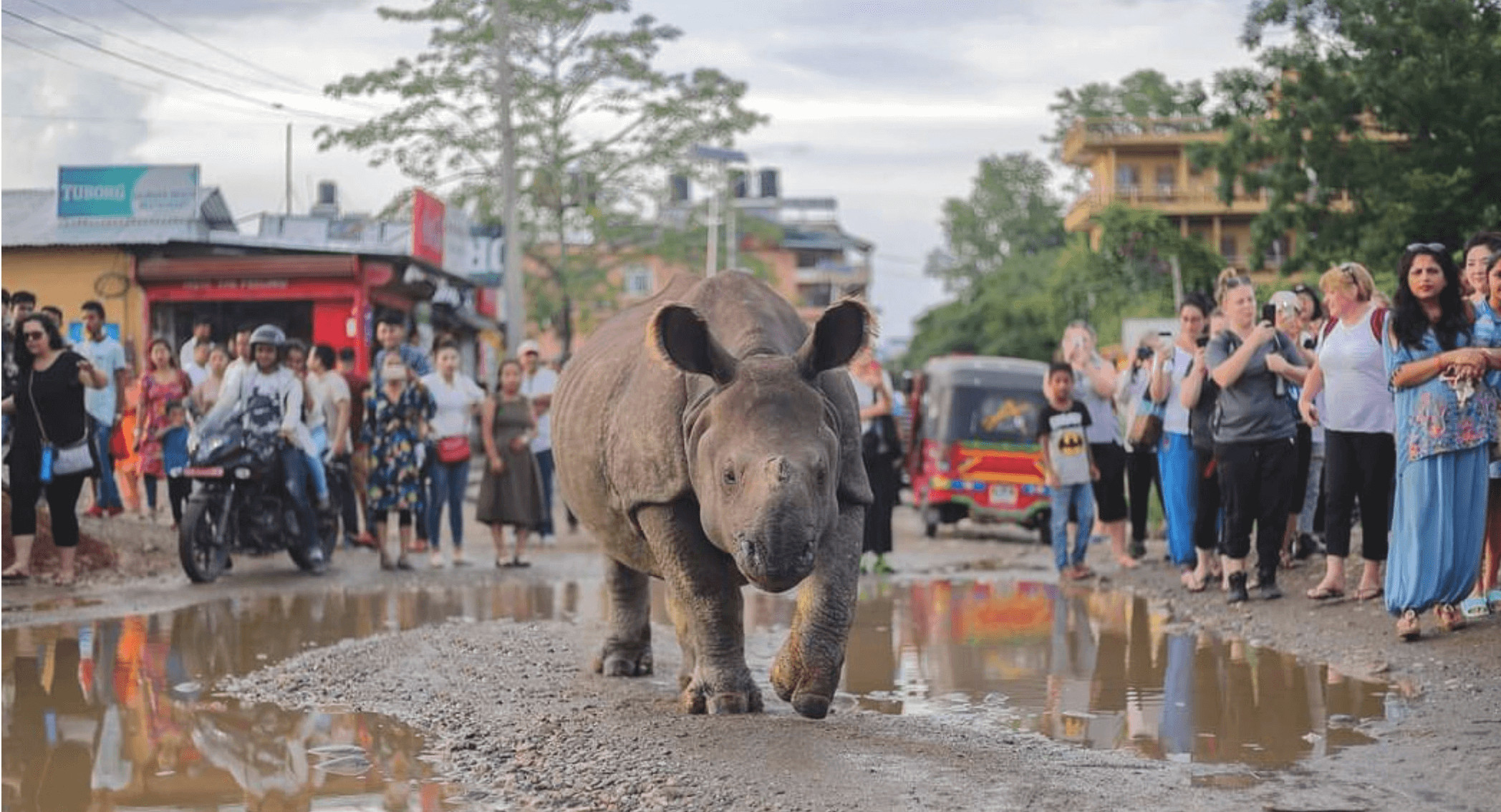 Climate change: new threat to Nepal’s rhinos