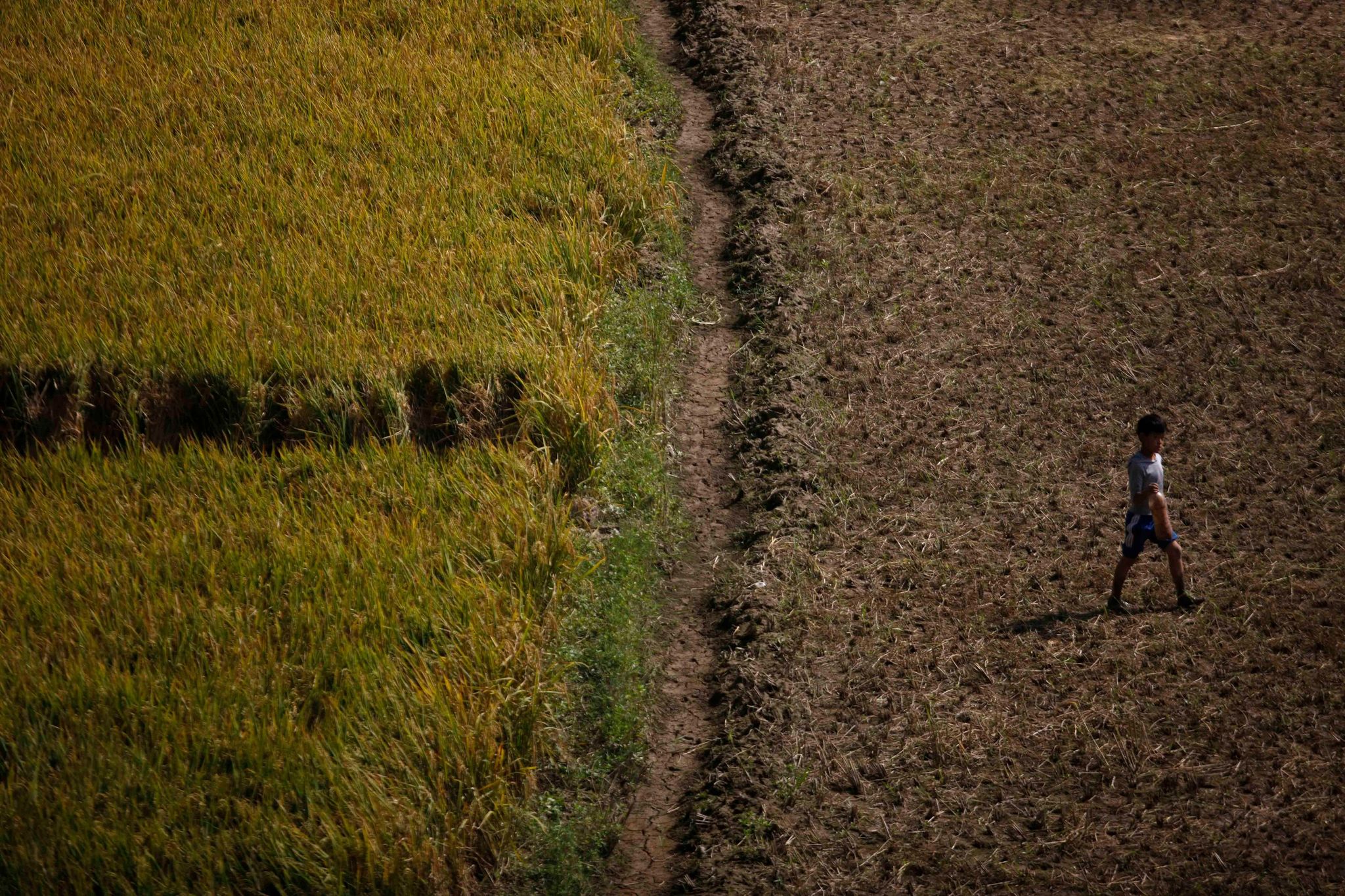 ‘Grow, Nourish, Sustain. Together’--World Food Day