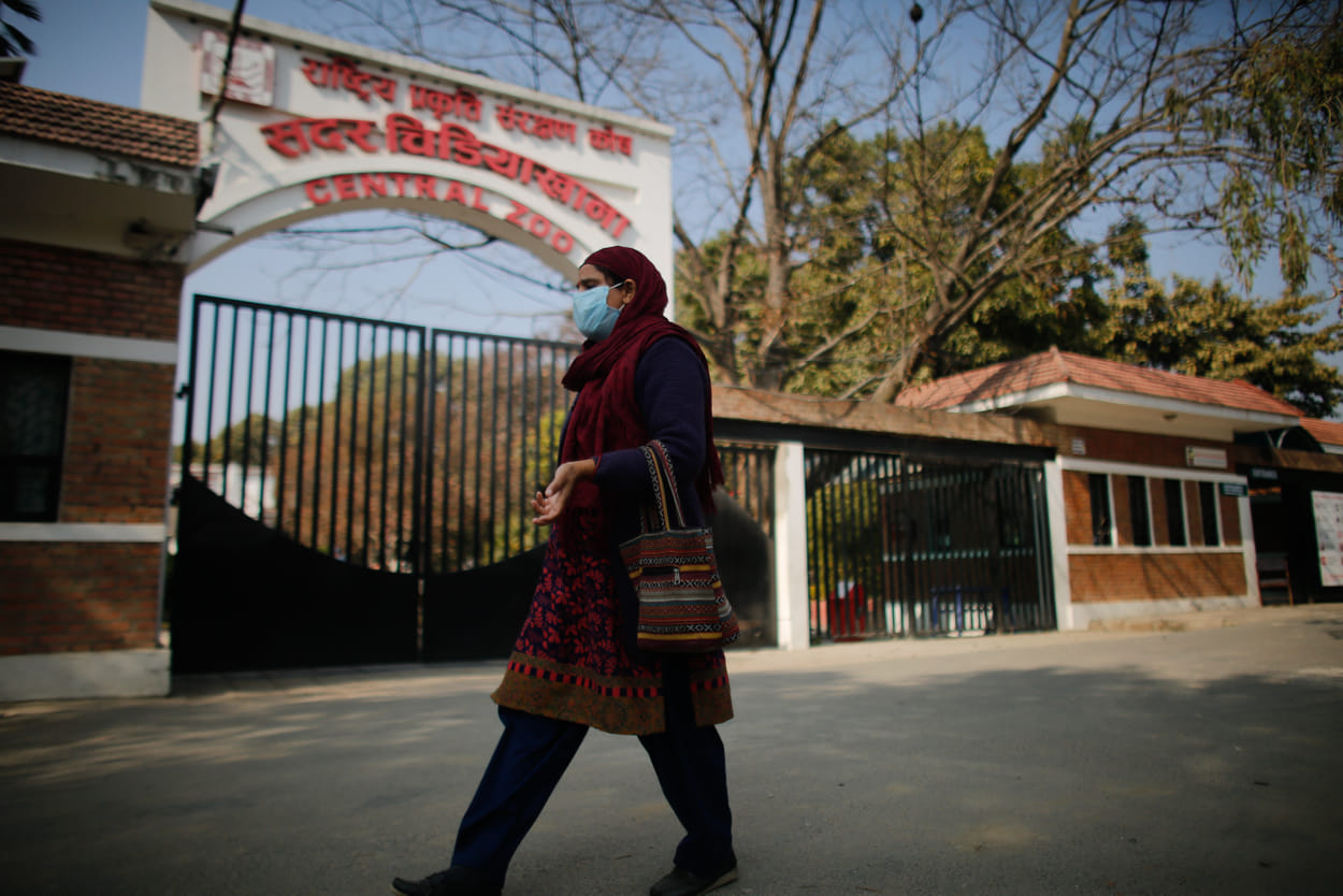 Central Zoo opens after nine months