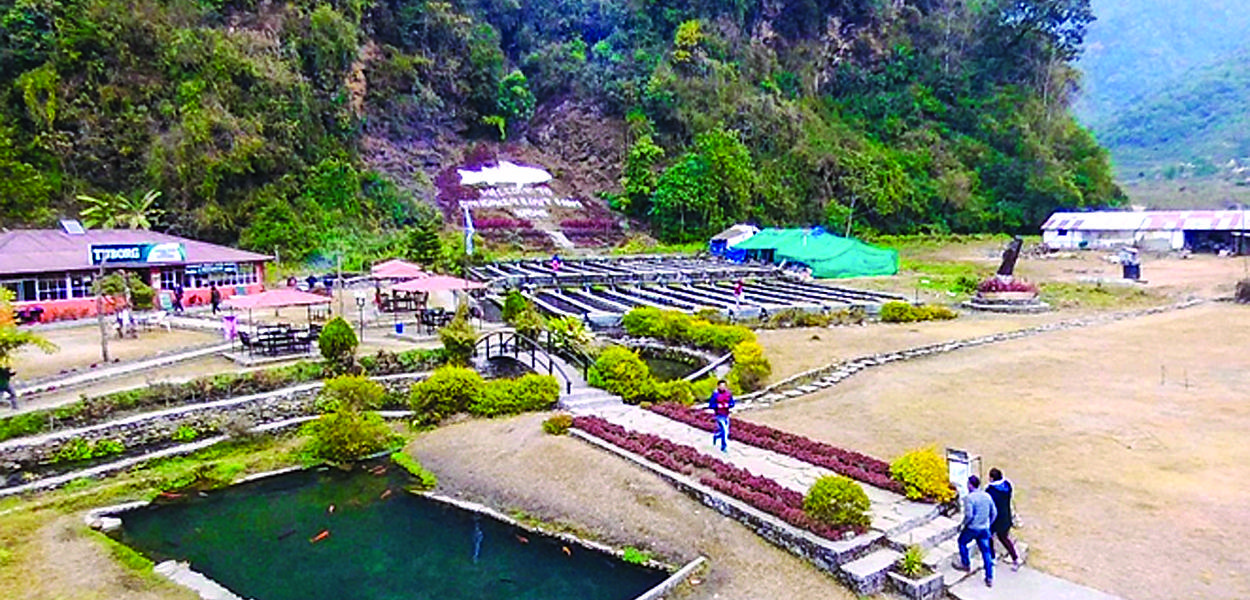 Revival of trout farms Nepali Times
