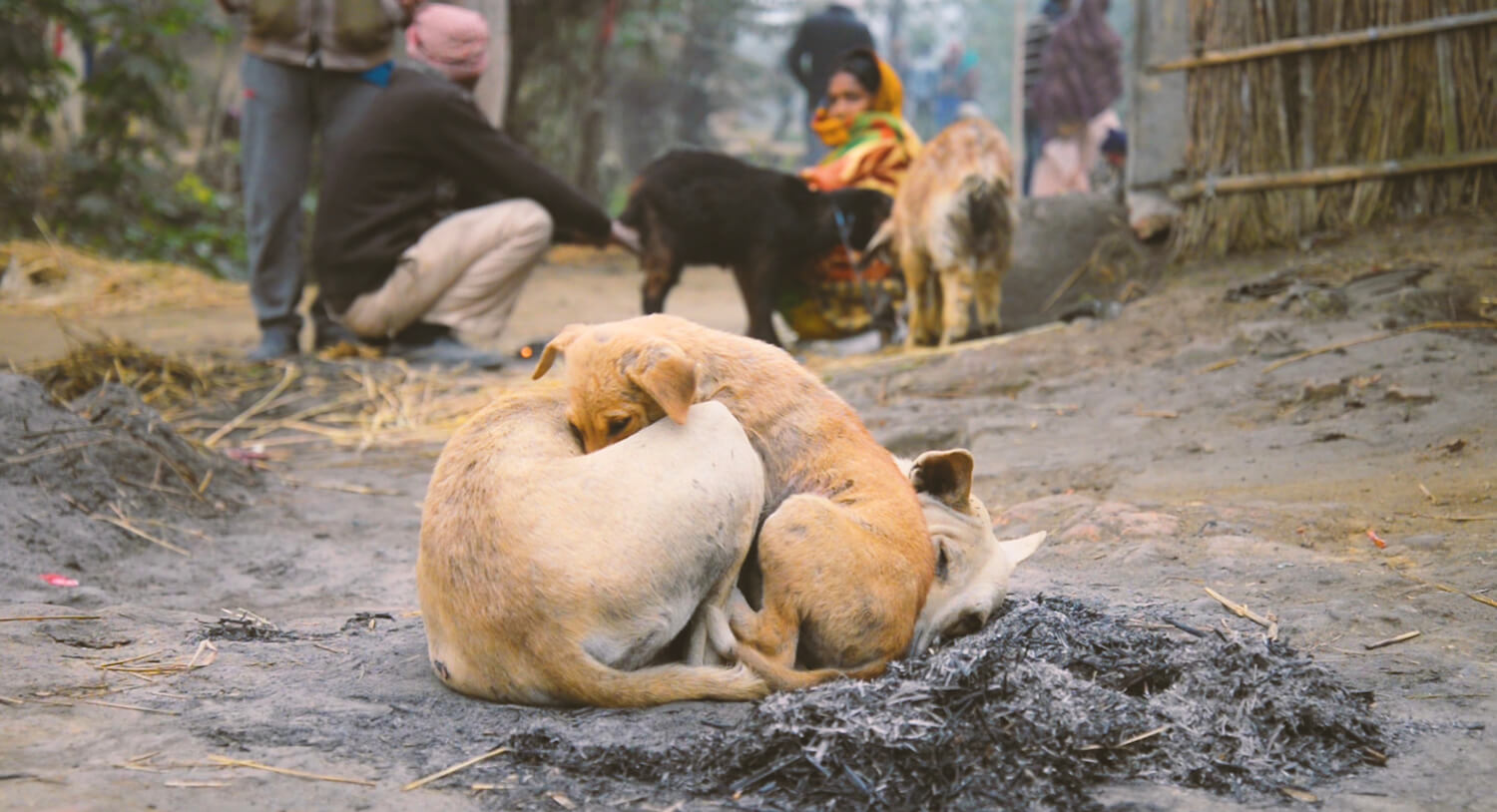 Nepalis still dying of cold
