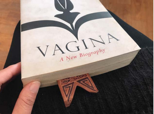 Vagina conversations