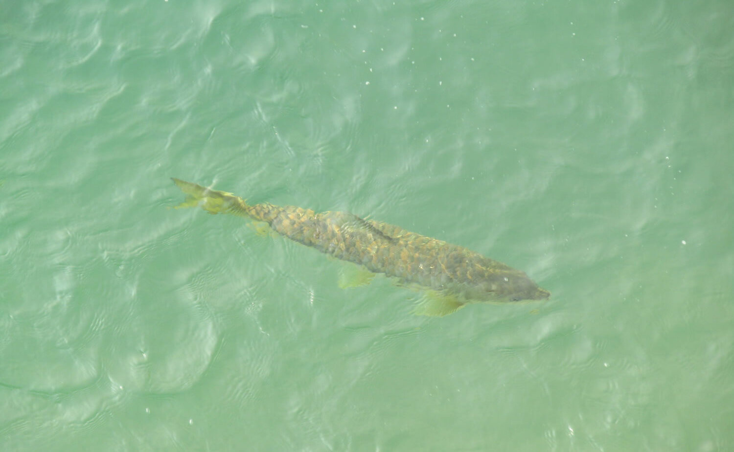 On the road in West Nepal