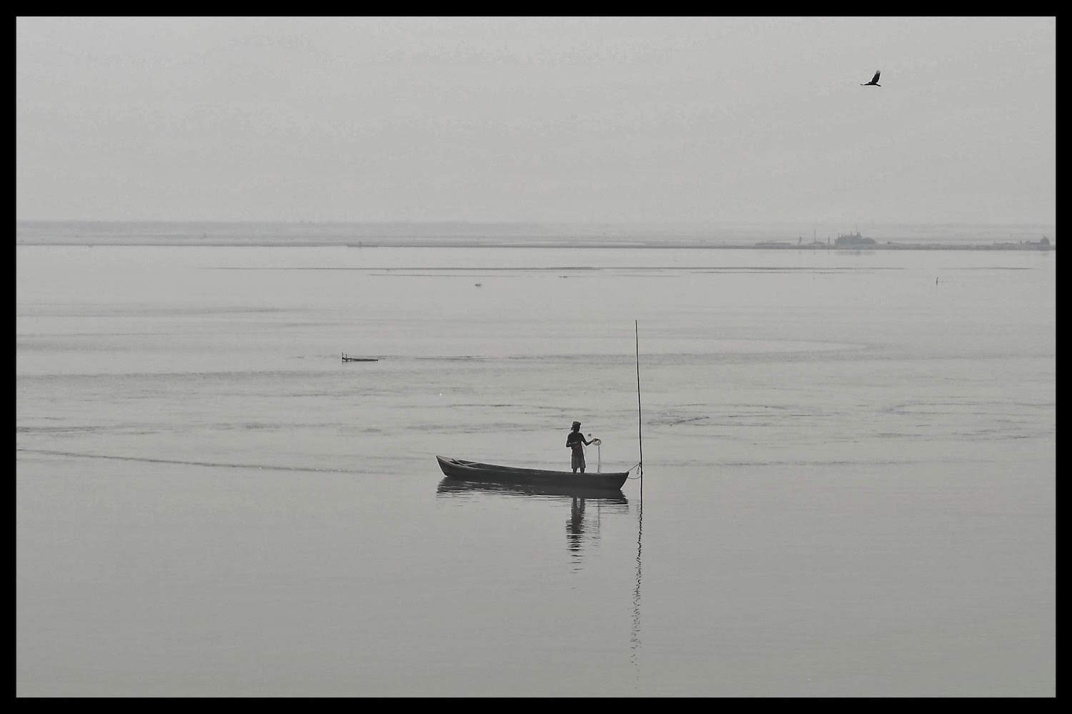 Too little, too much, or too polluted