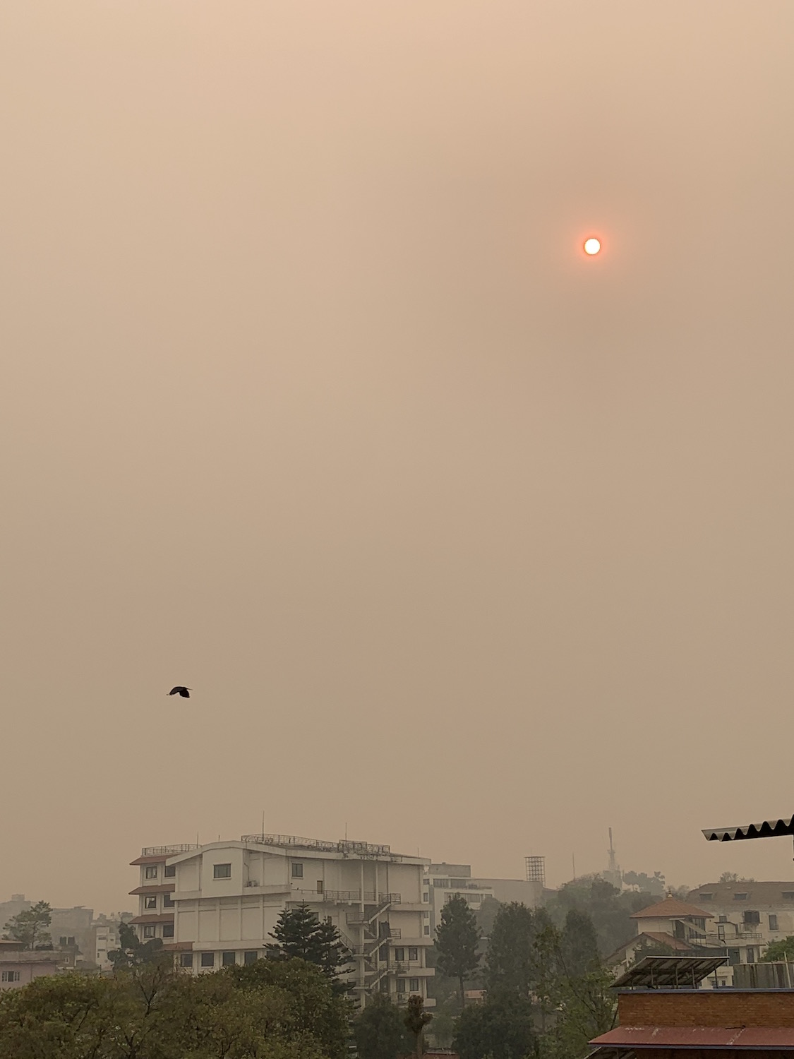 Wildfires in Nepal cause air quality to plummet