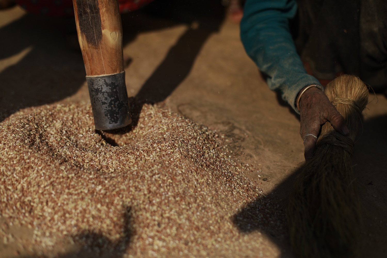 Himalayan red rice is red hot