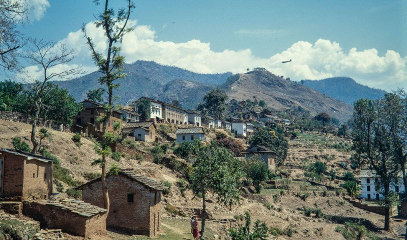 Remembering the 1961 census