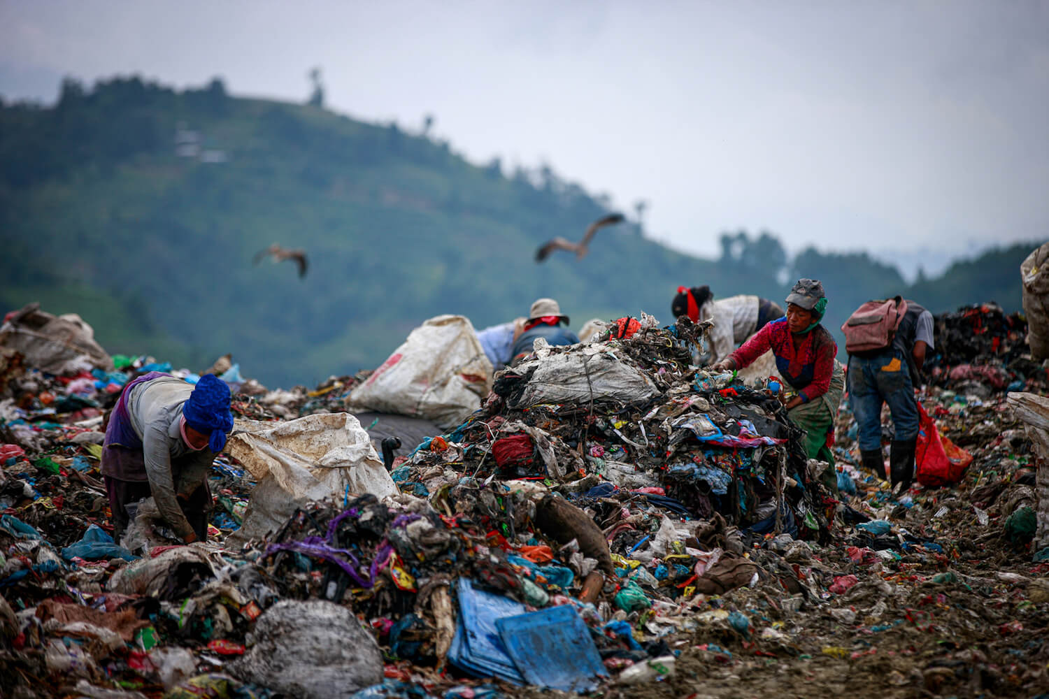 Garbage in, garbage out