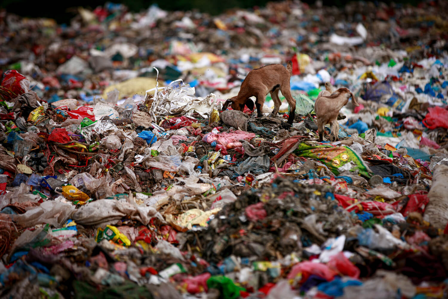 Nepal’s glaring food gap