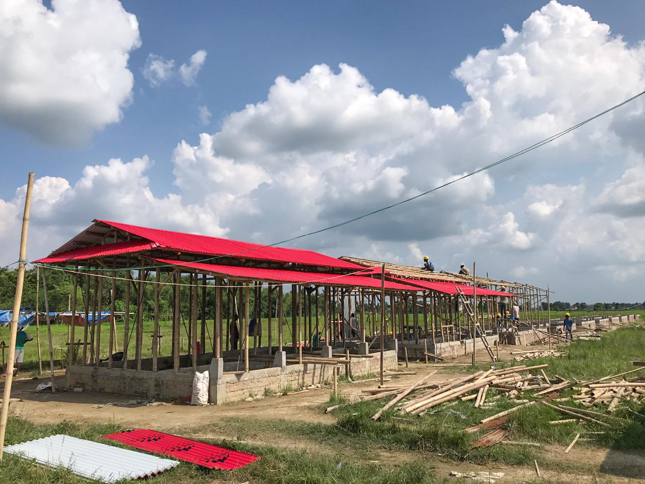 Building back better (and stronger) with bamboo