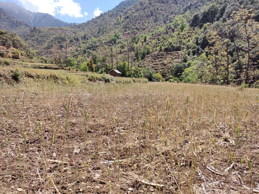 First drought, then downpour