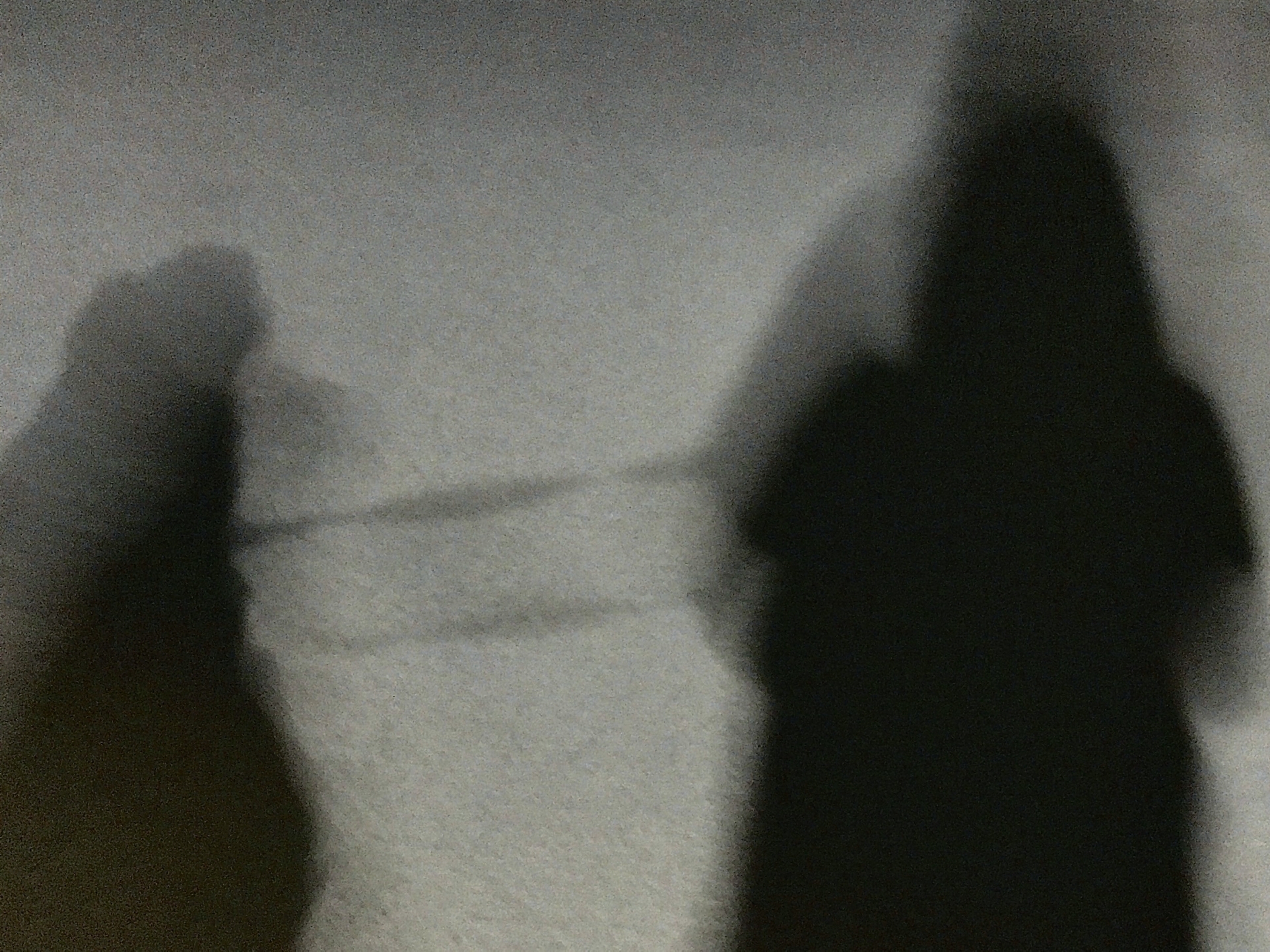 A walk in the memory