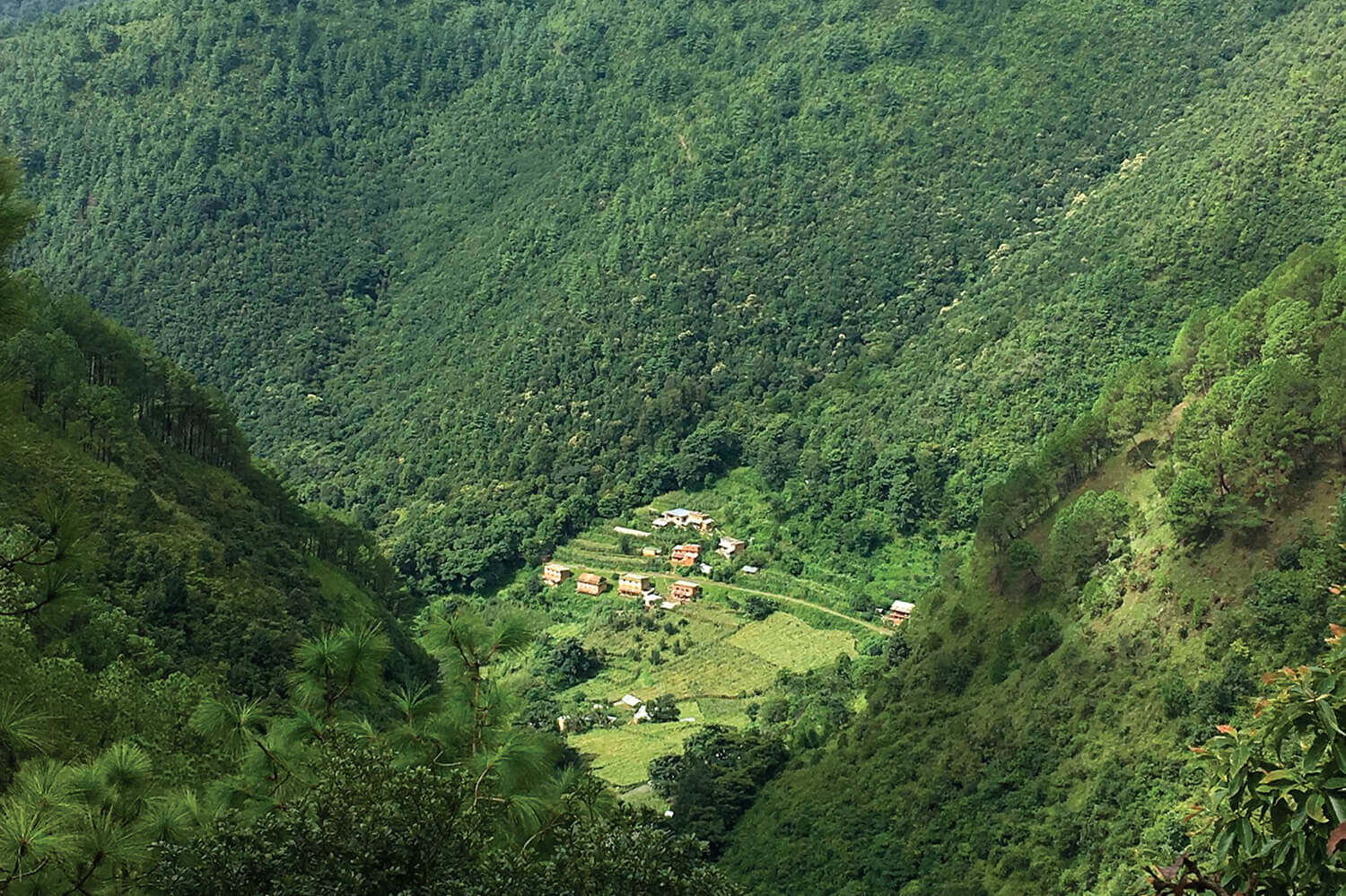 Will Nepal ever be paid for saving trees?