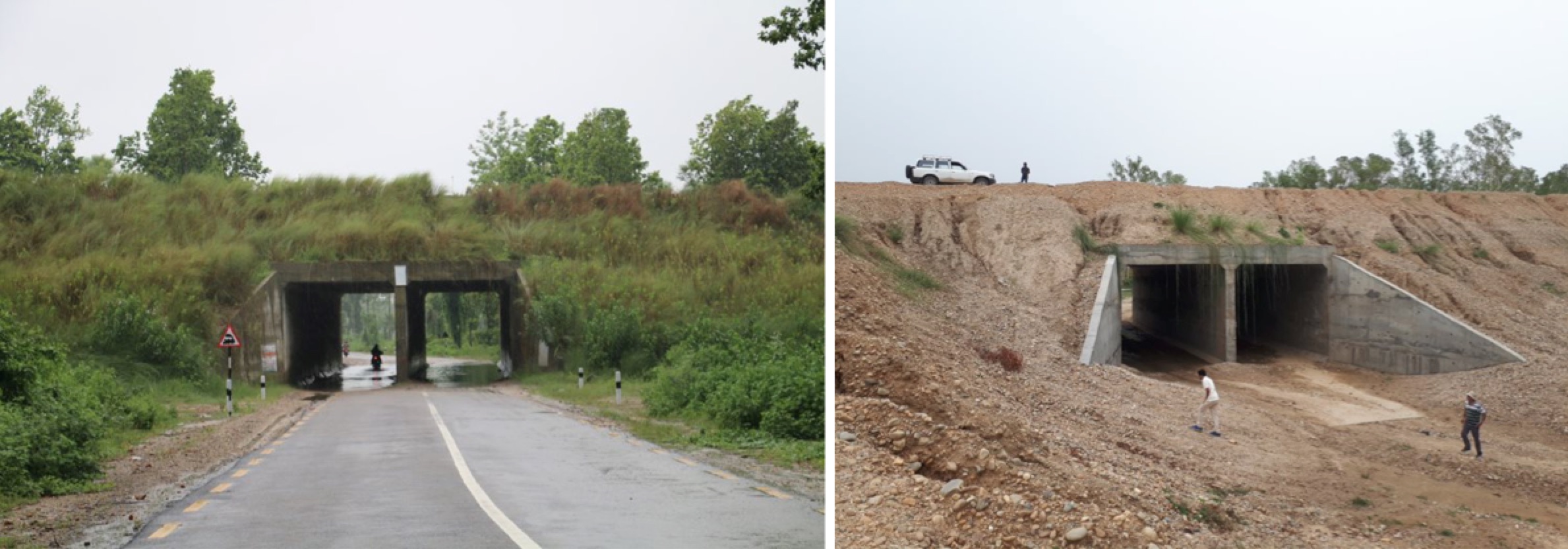 Infrastructure for wildlife in Nepal