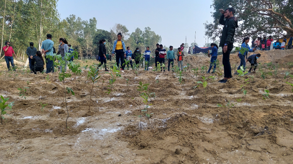 Mini forests to make Kathmandu more liveable