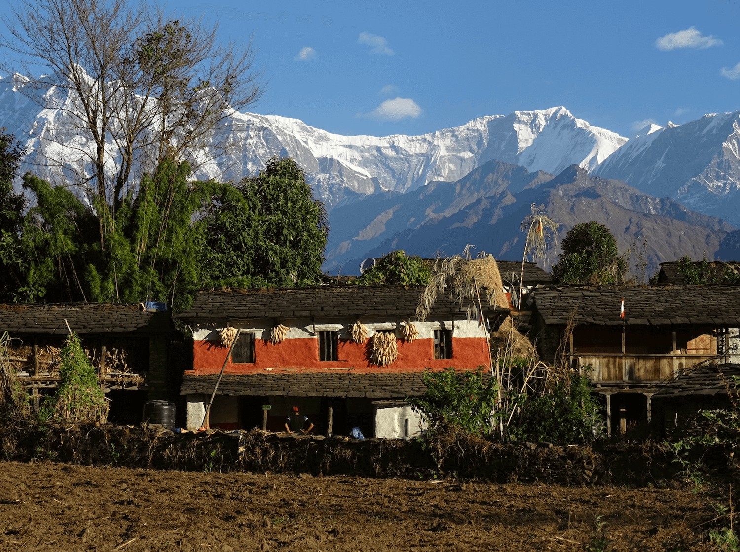 Power to the periphery