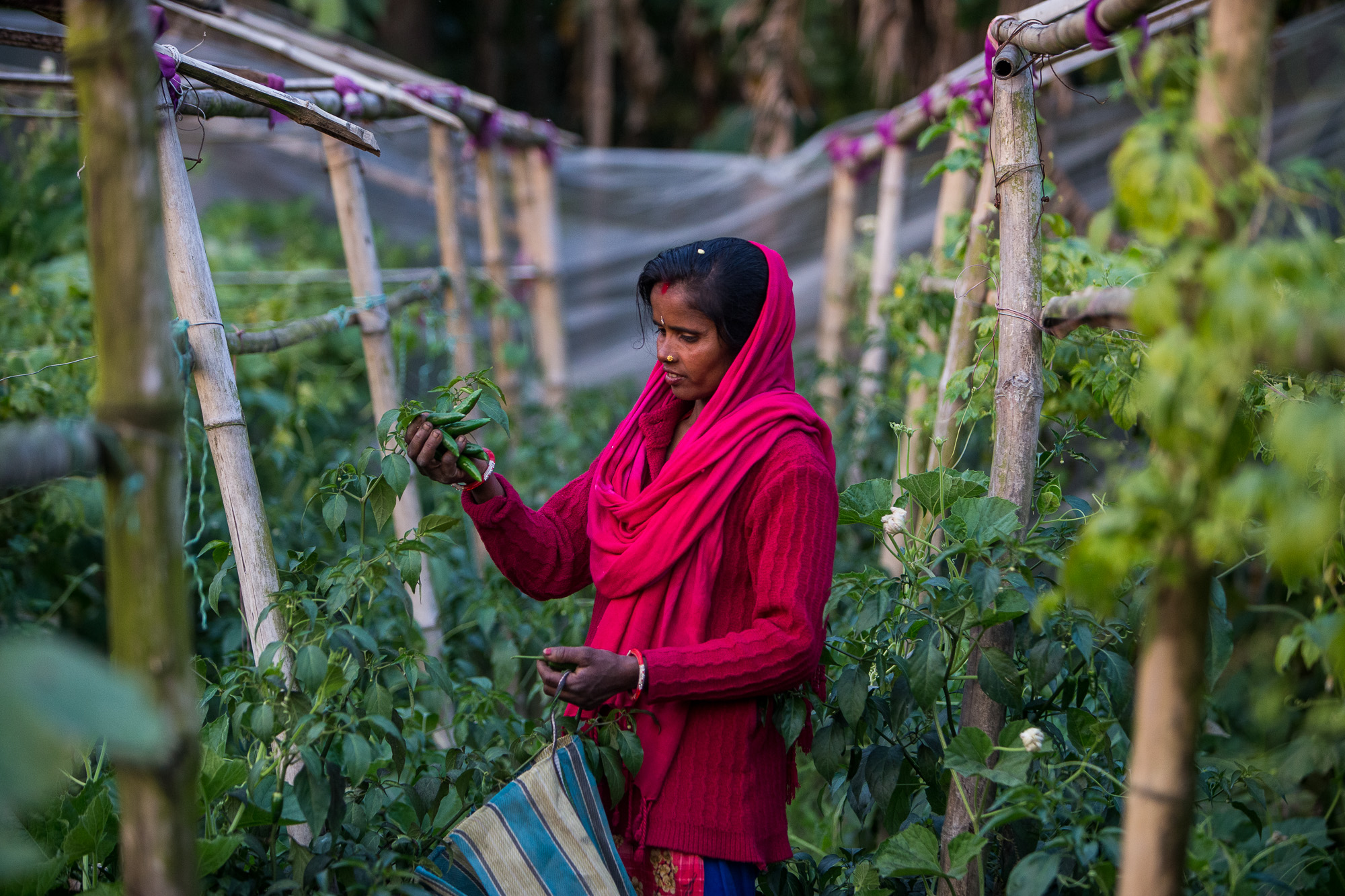 Climate smart Ramkali Mahato