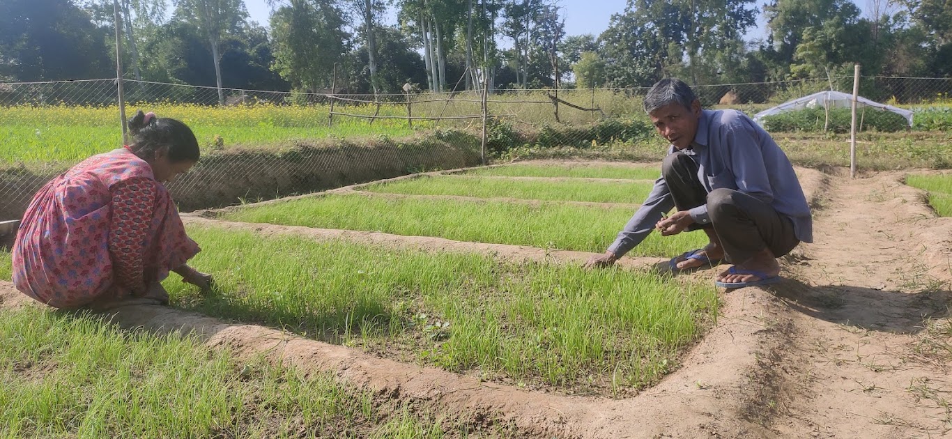 Owning land gives former slaves self-respect
