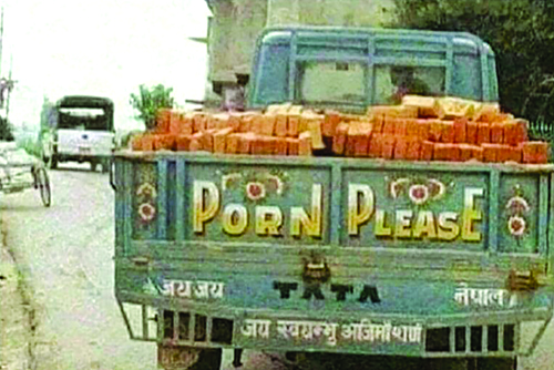 Freedom of the wild ass