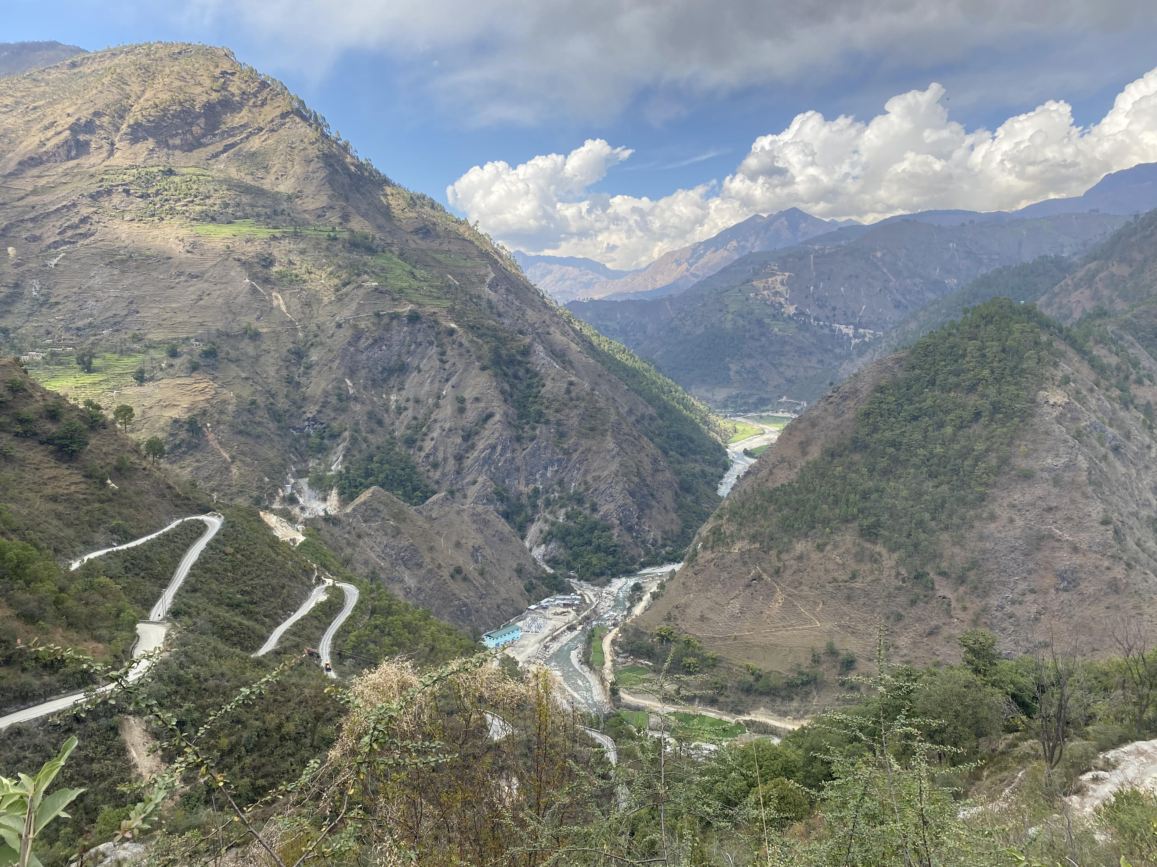 Growing appetite for school lunches