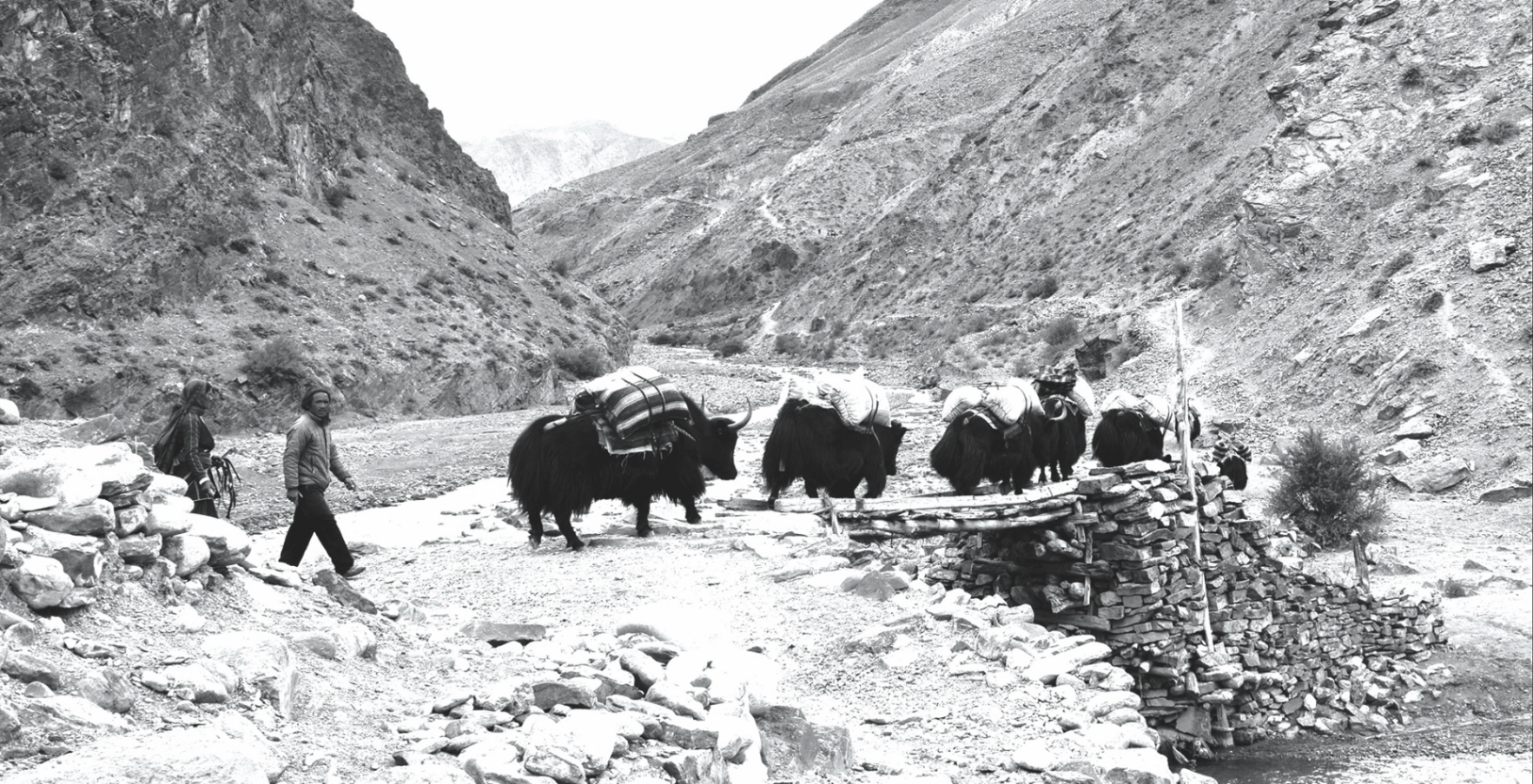 The salt of the earth