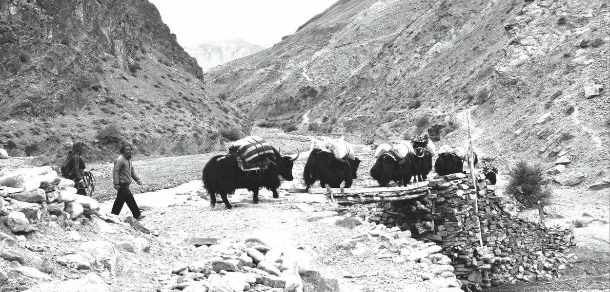 The salt of the earth Nepali Times