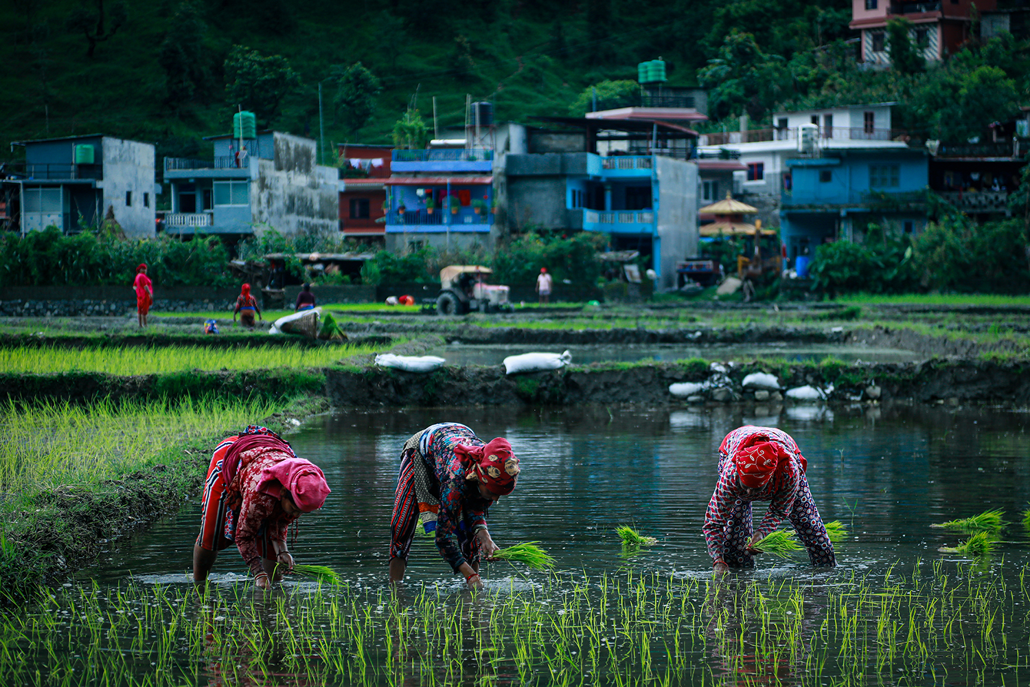 Nepal sets ambitious target for food sufficiency