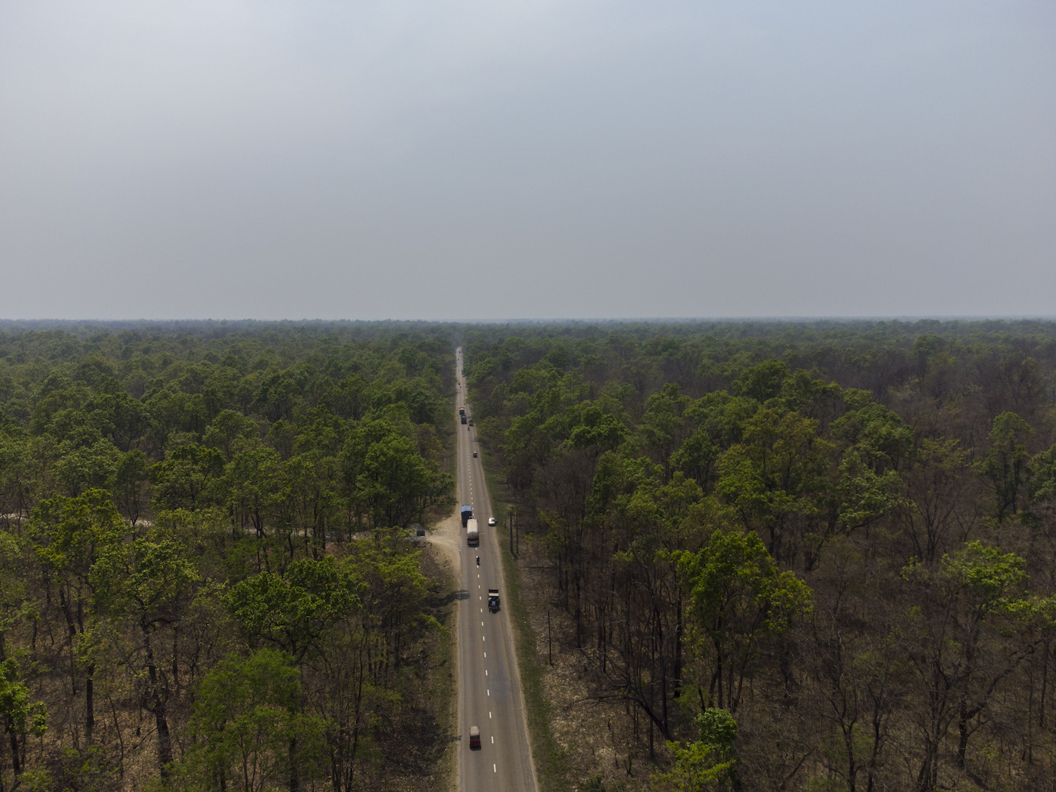 Nijgad’s green runway