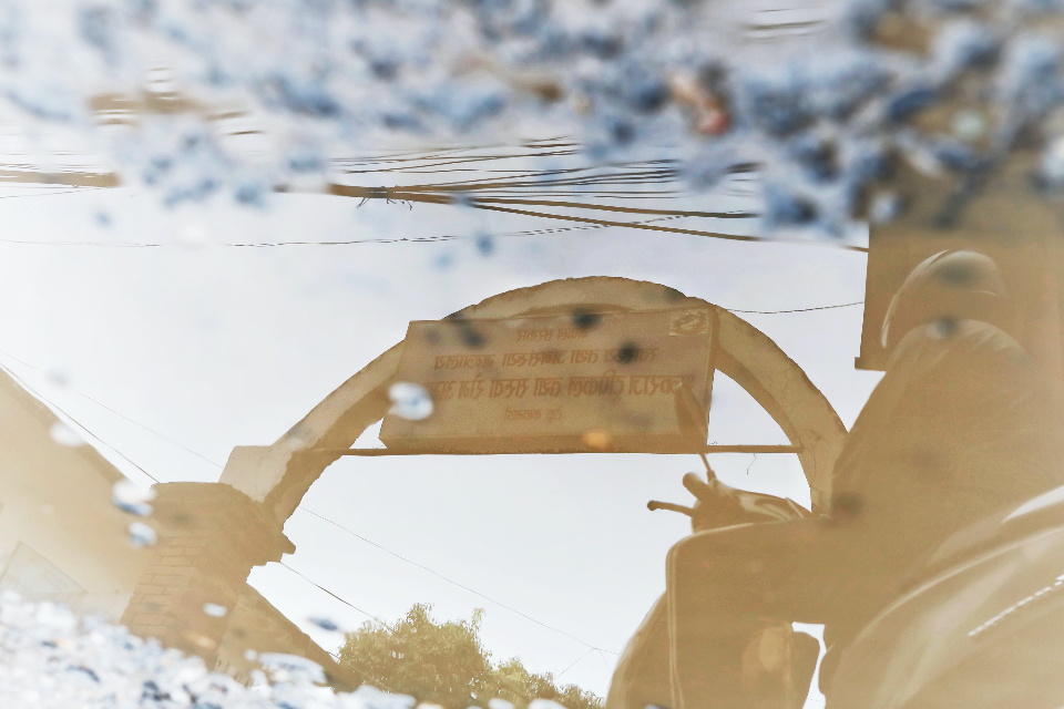 Dengue days are here to stay