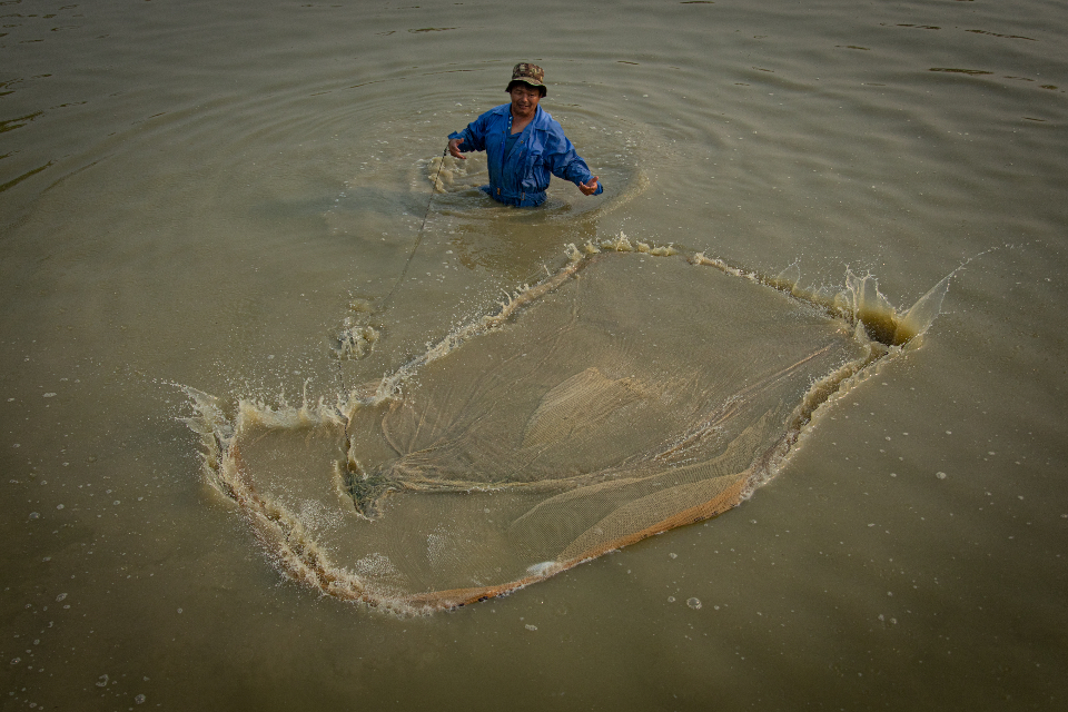 Pigs fly and fish climb trees