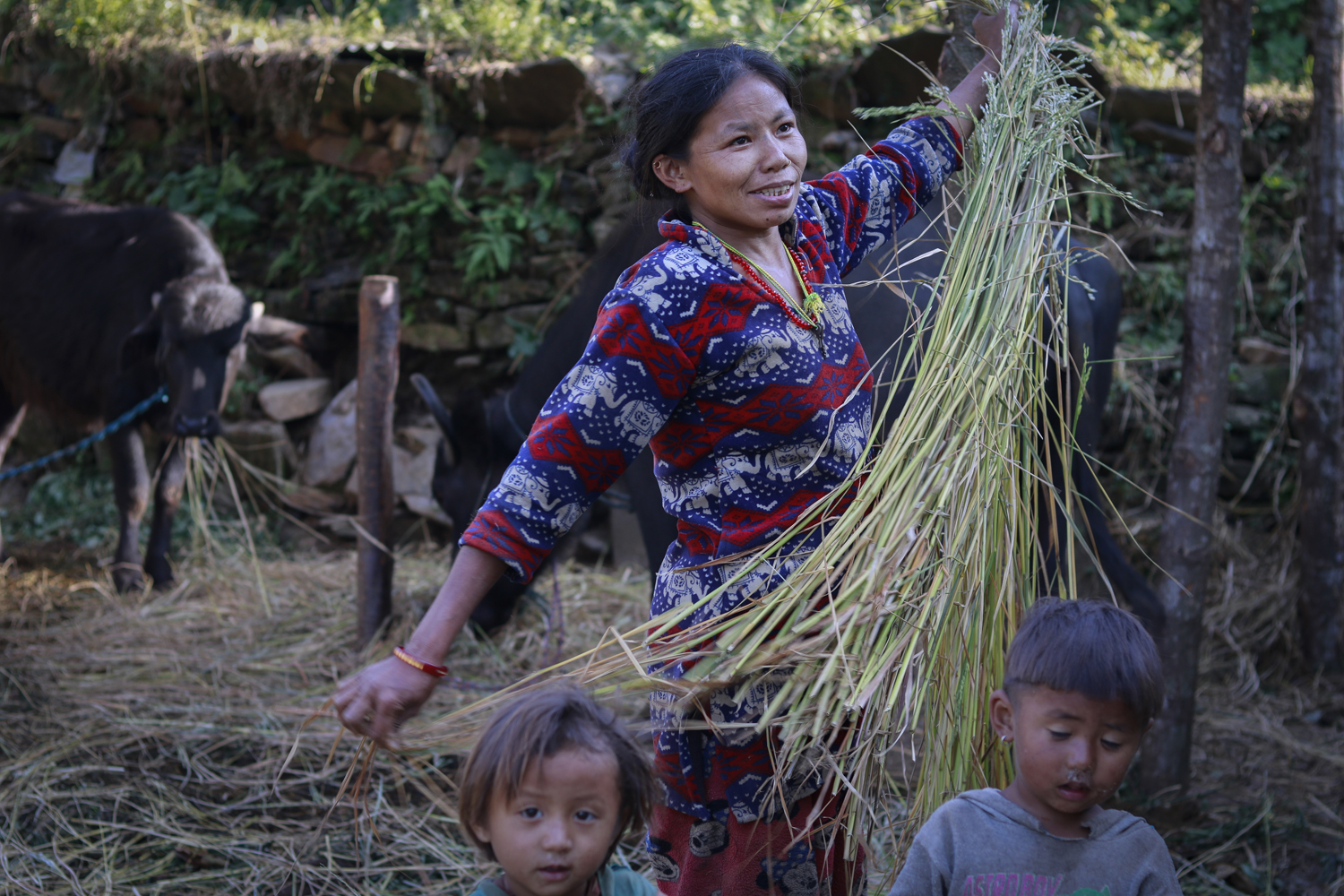 Dejected voters reject polls