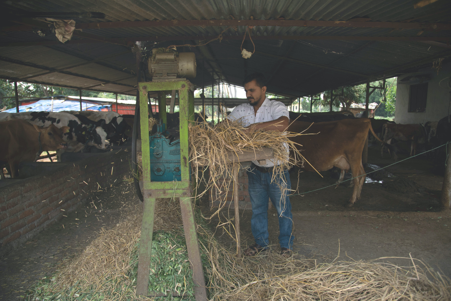 A family that works together stays together